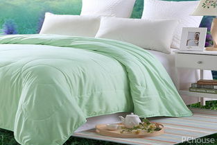 蠶絲被的清洗與選購(gòu)指南 知名品牌與家紡知識(shí)